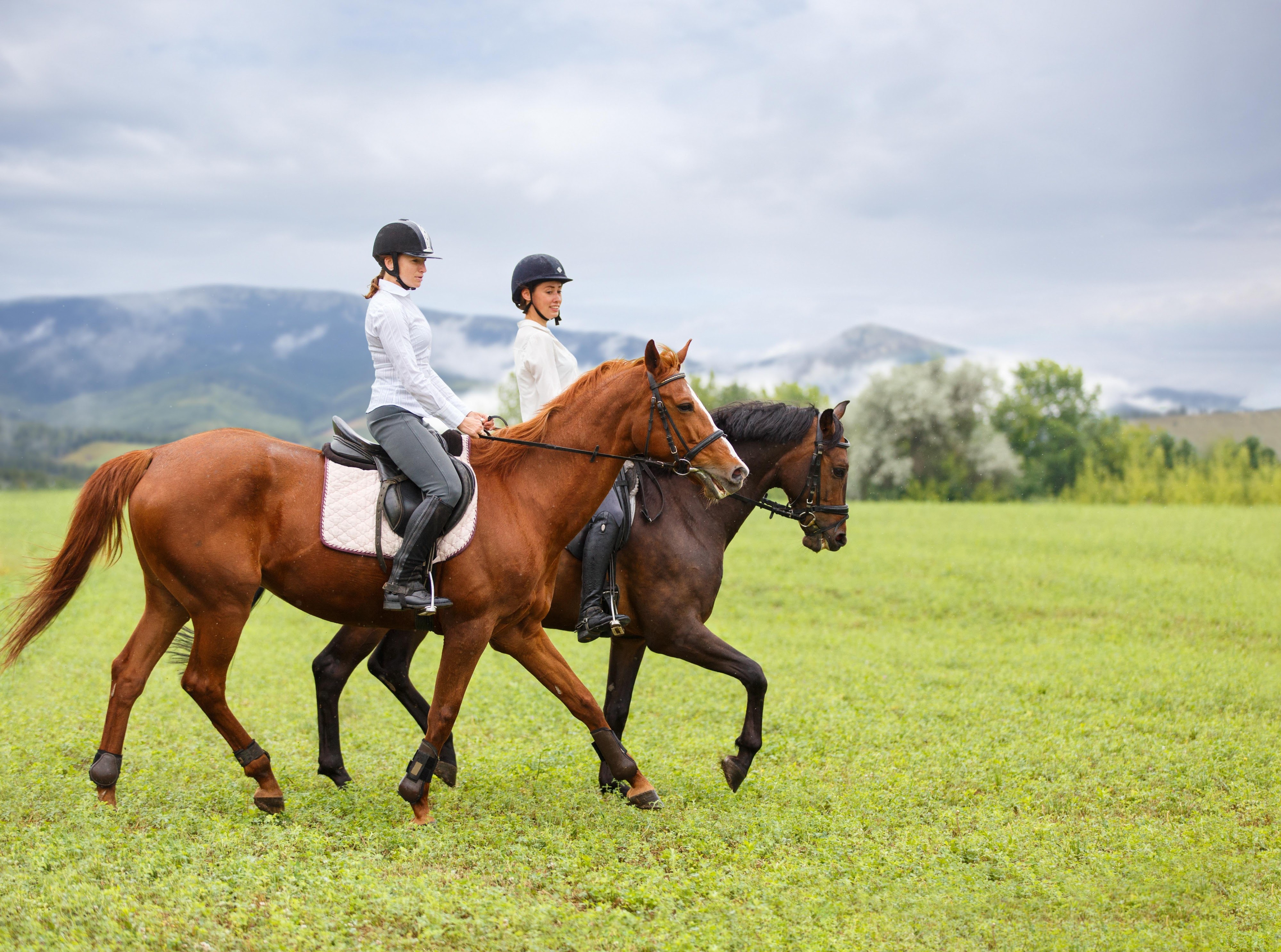 Horse Riding