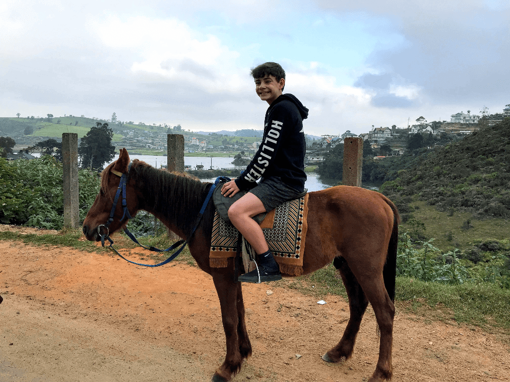 Horse Riding