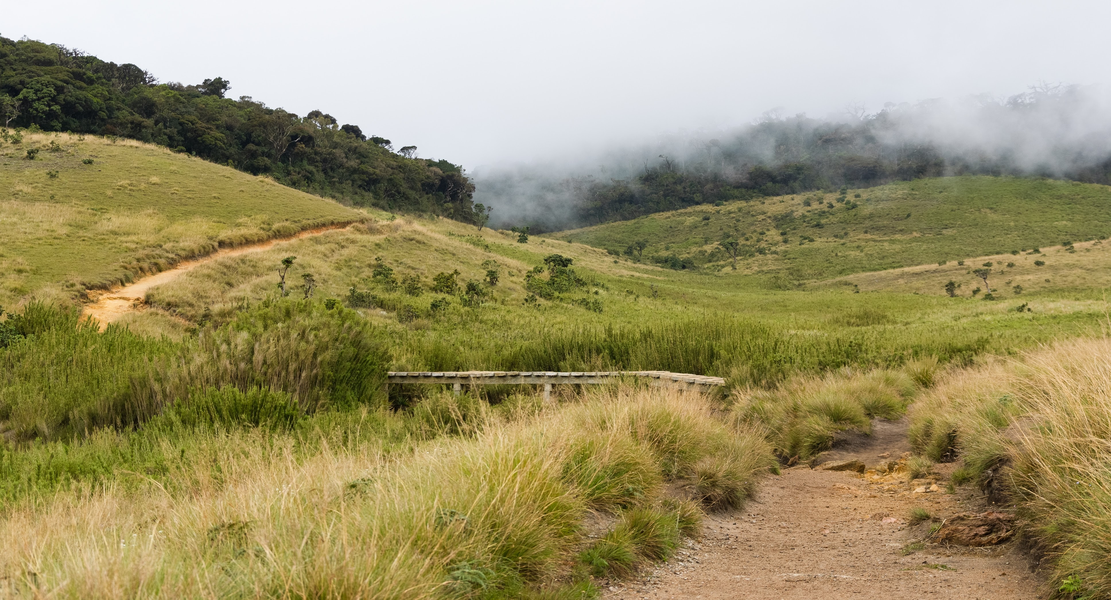 Horton Plains