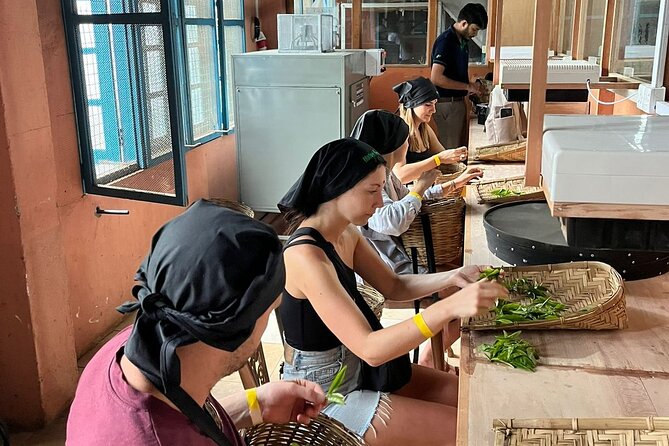 Tea Tasting & Workshop